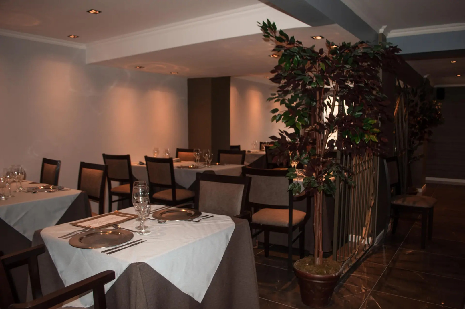 Hotel Platino Termas