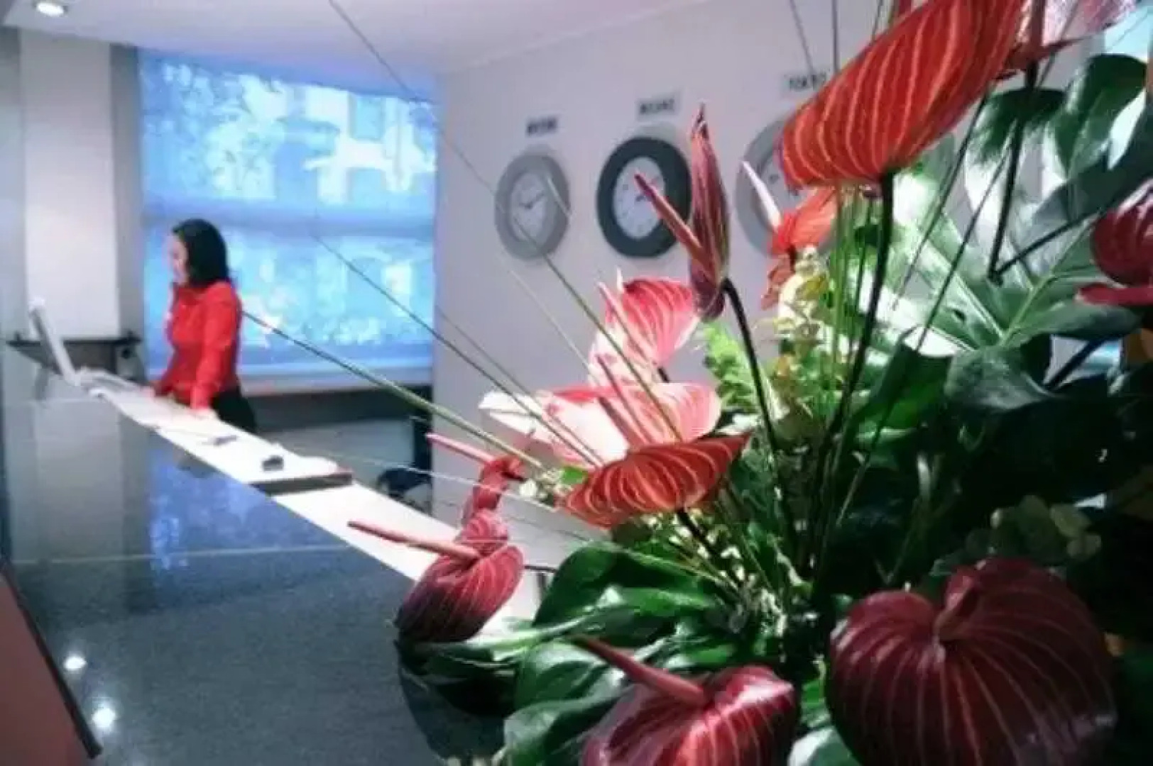 Allegroitalia Espresso Darsena