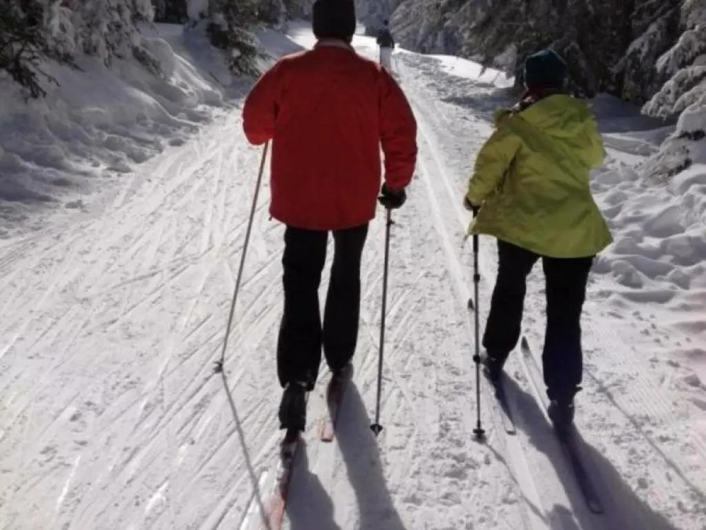 Gîte Le Bessat, 4 pièces, 6 personnes - FR-1-496-24