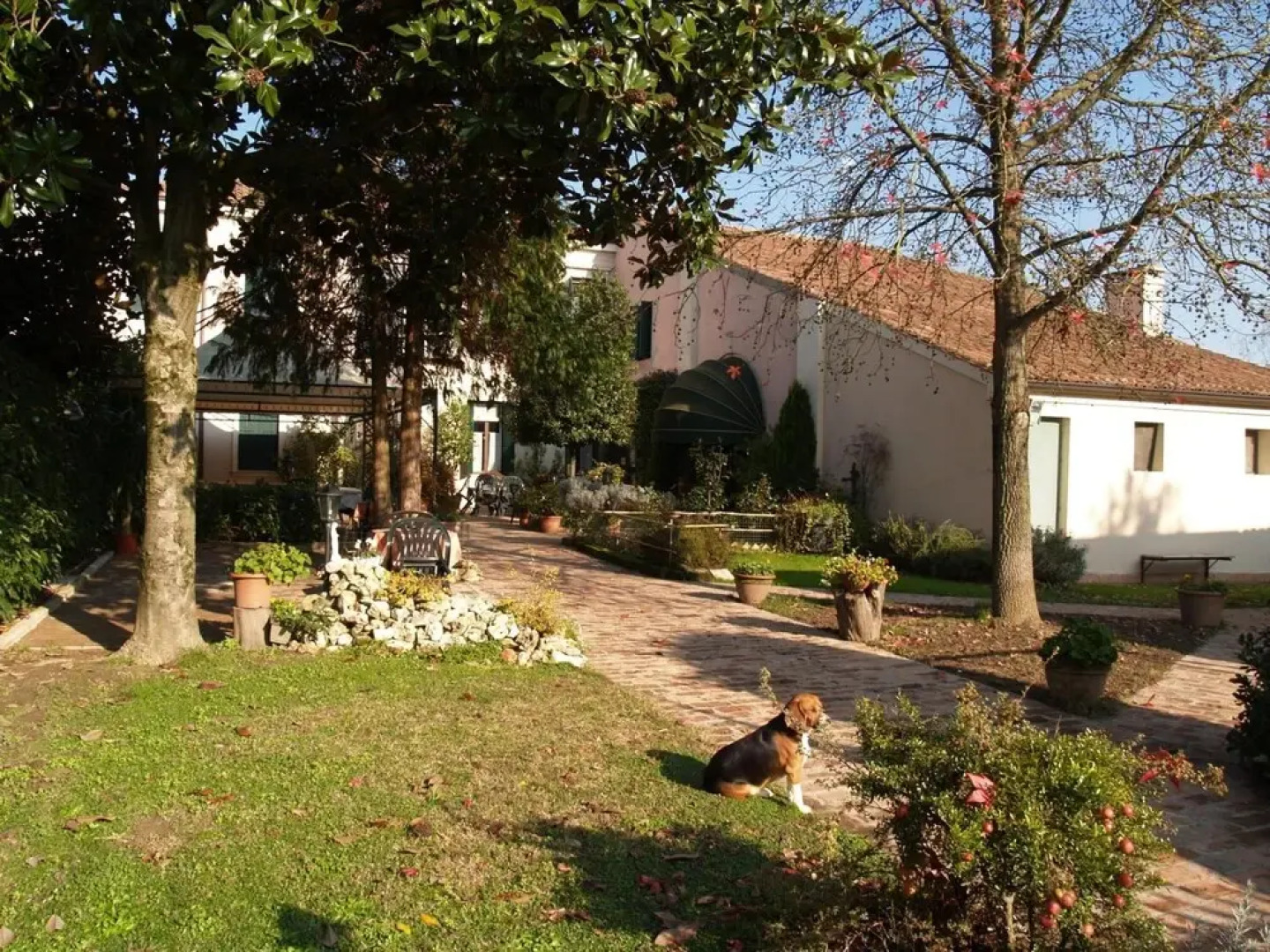 Agriturismo Le Clementine