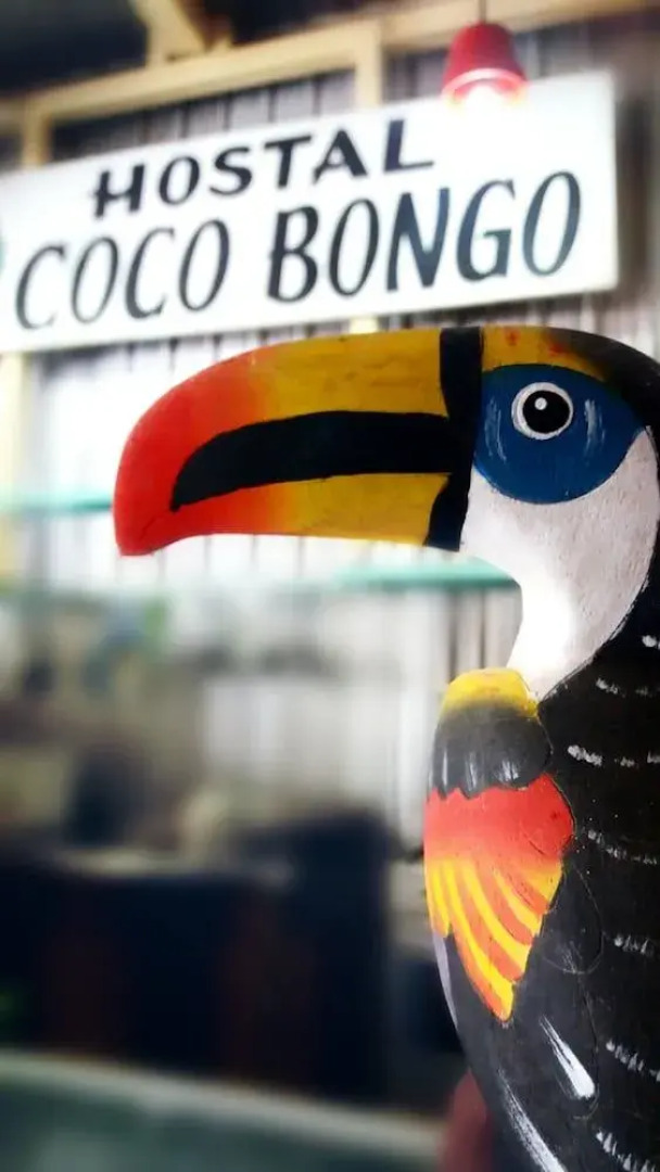 CoCo Bongo Hostel