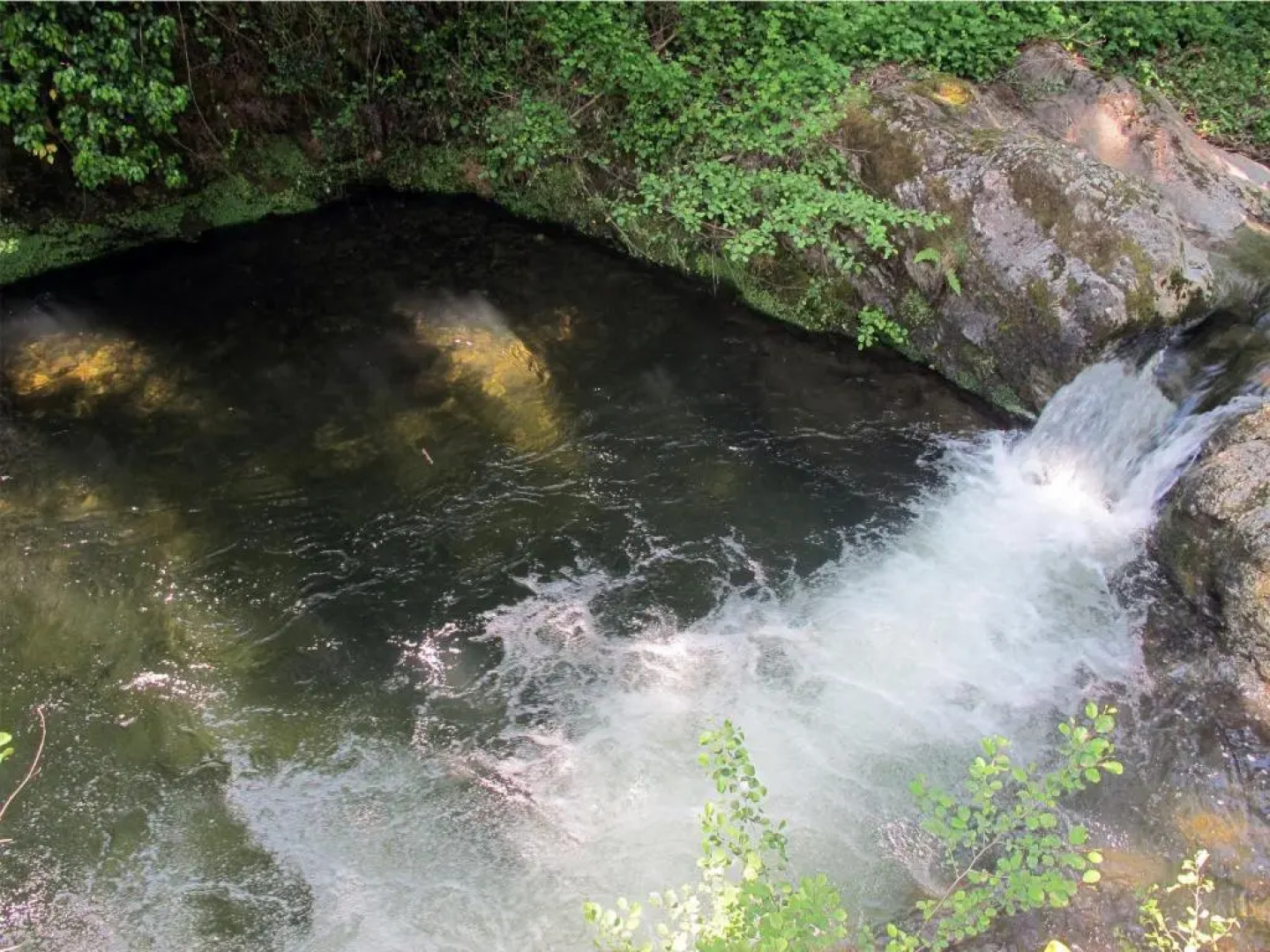 le refuge des pots rouges