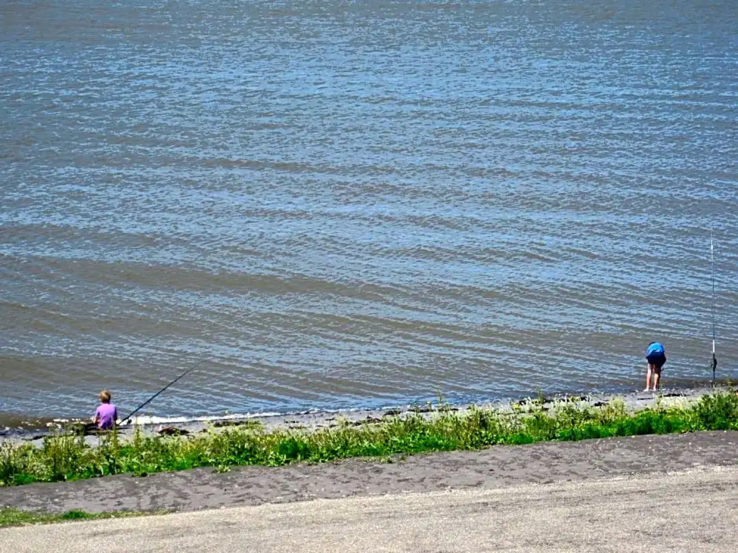 Bed and Breakfast De Zeehoeve