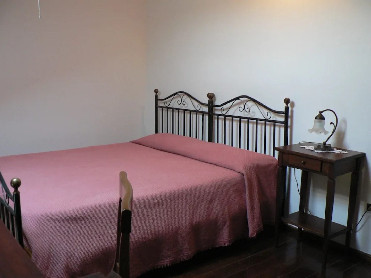 La Gabbianella e il Gatto