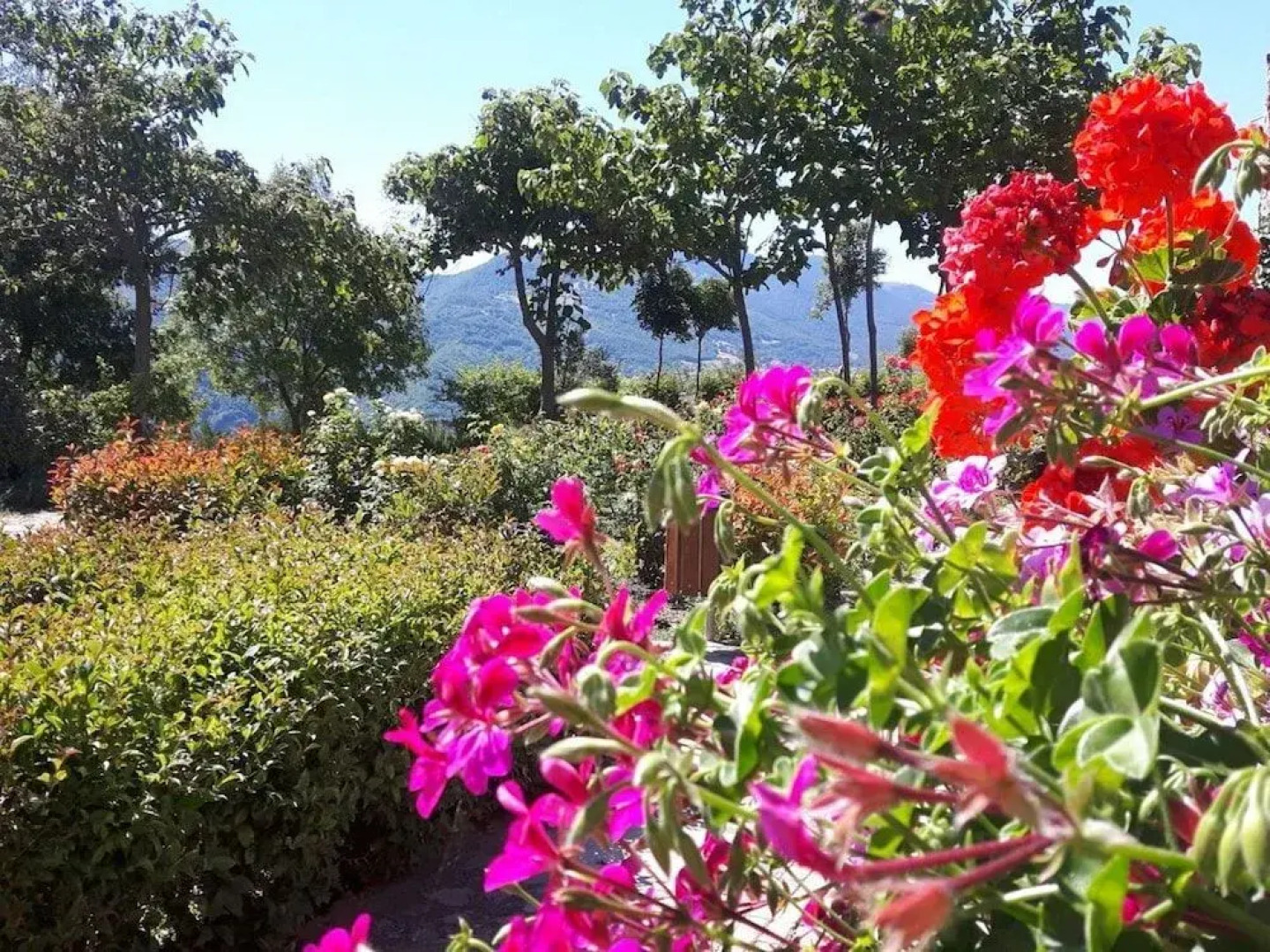 La Foresteria San Leo