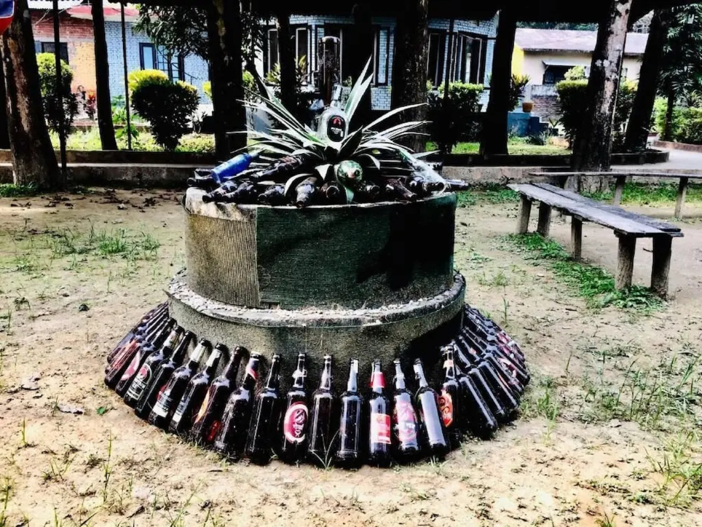 Safari Wildlife Lodge & Camp