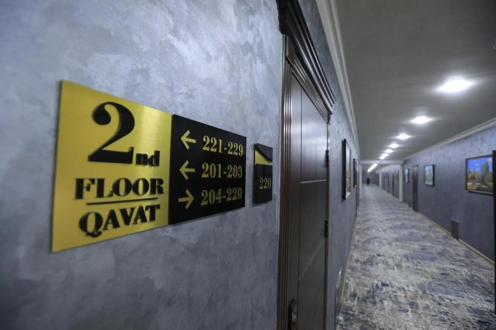 Отель Chinor