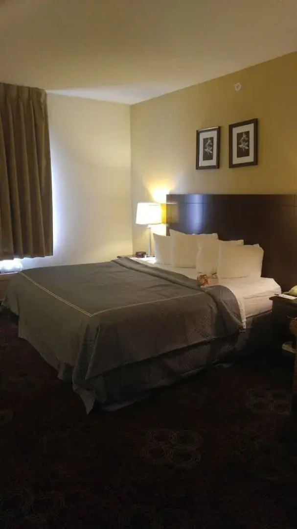 Quality Inn & Suites