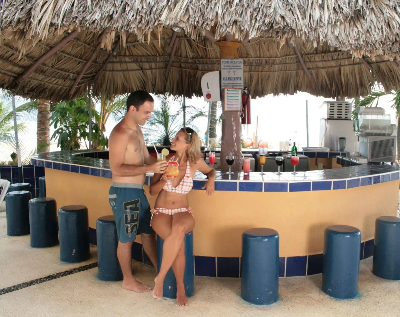 Ritz Acapulco Hotel All Inclusive