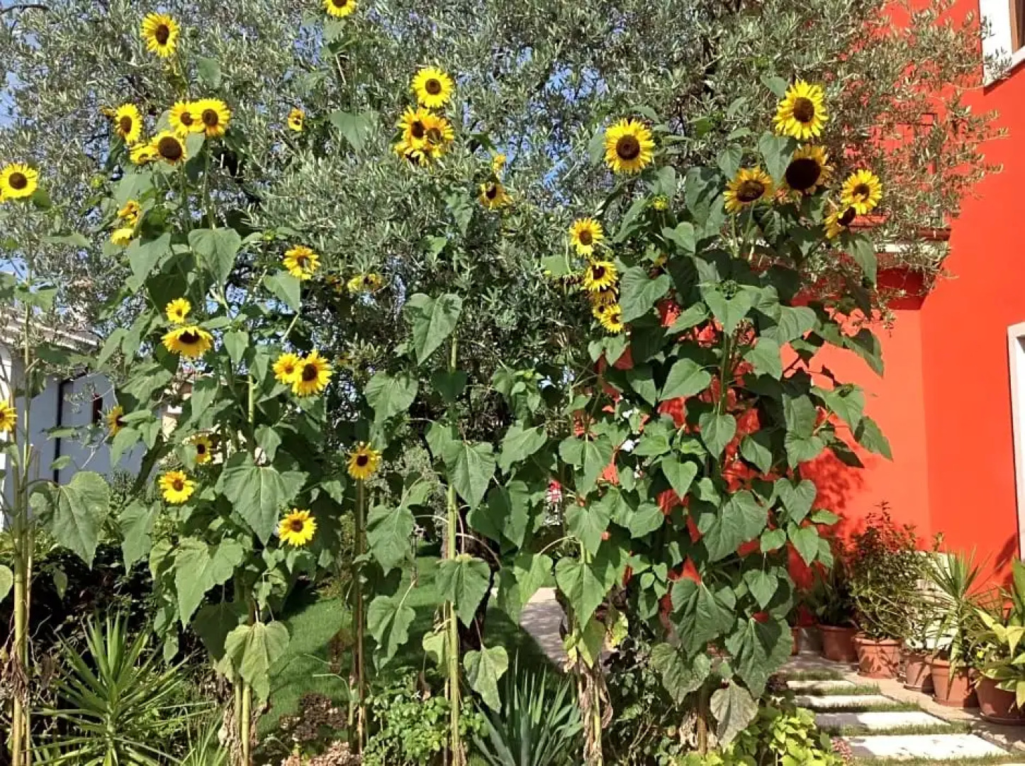 GG Bed  Breakfast And Apartments