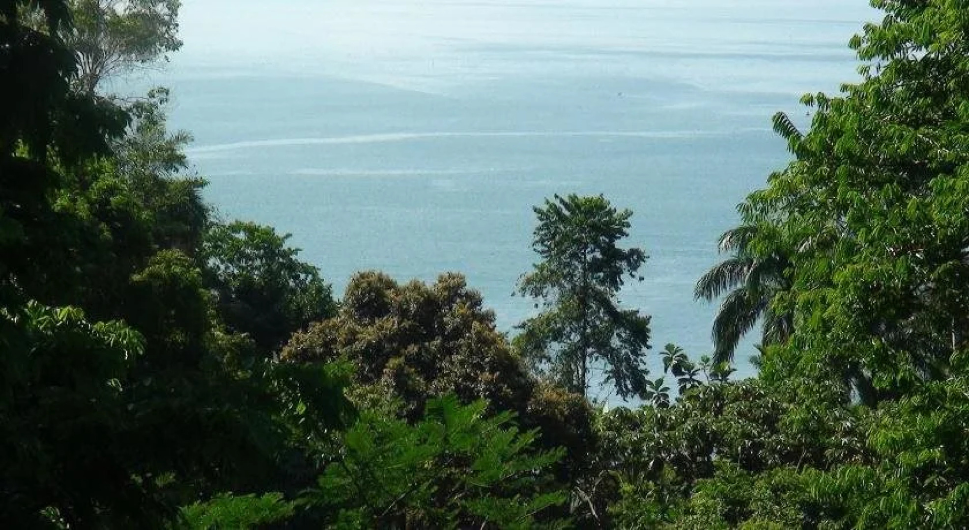 Ka'kau Jungle Cabinas