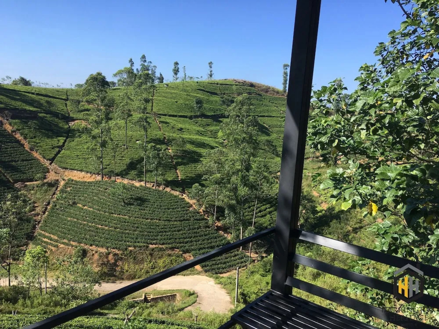 The Harrington Heritage Bungalow