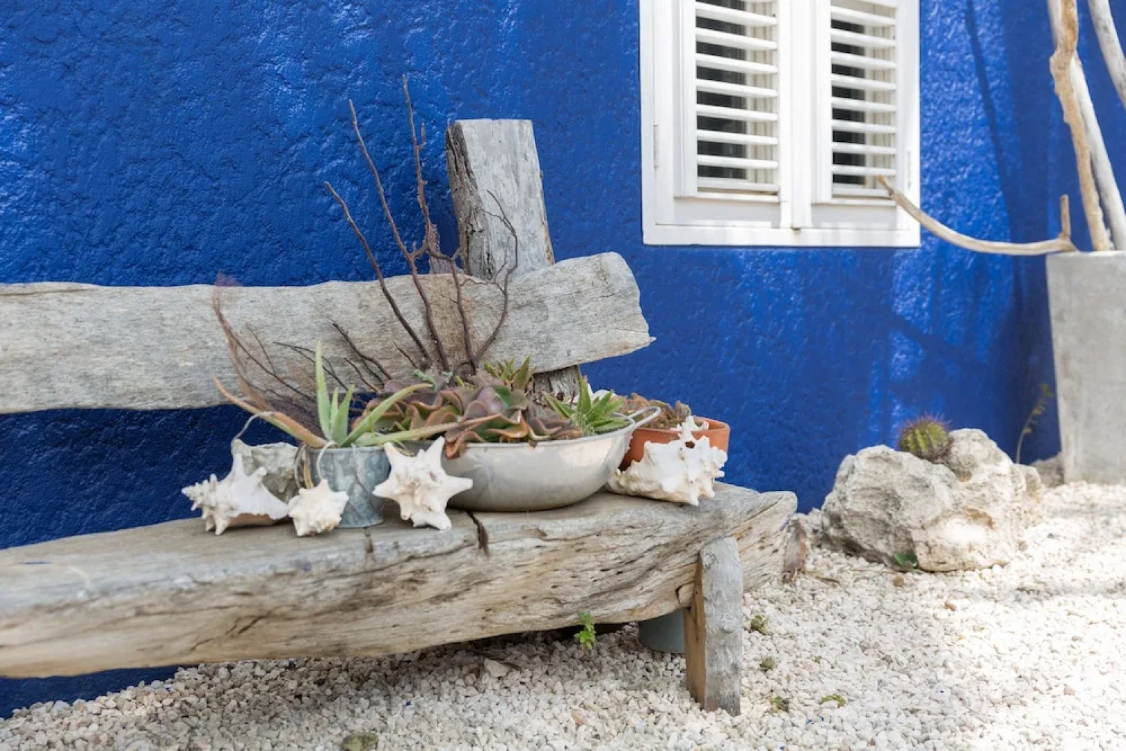 Blachi Koko Apartments Bonaire