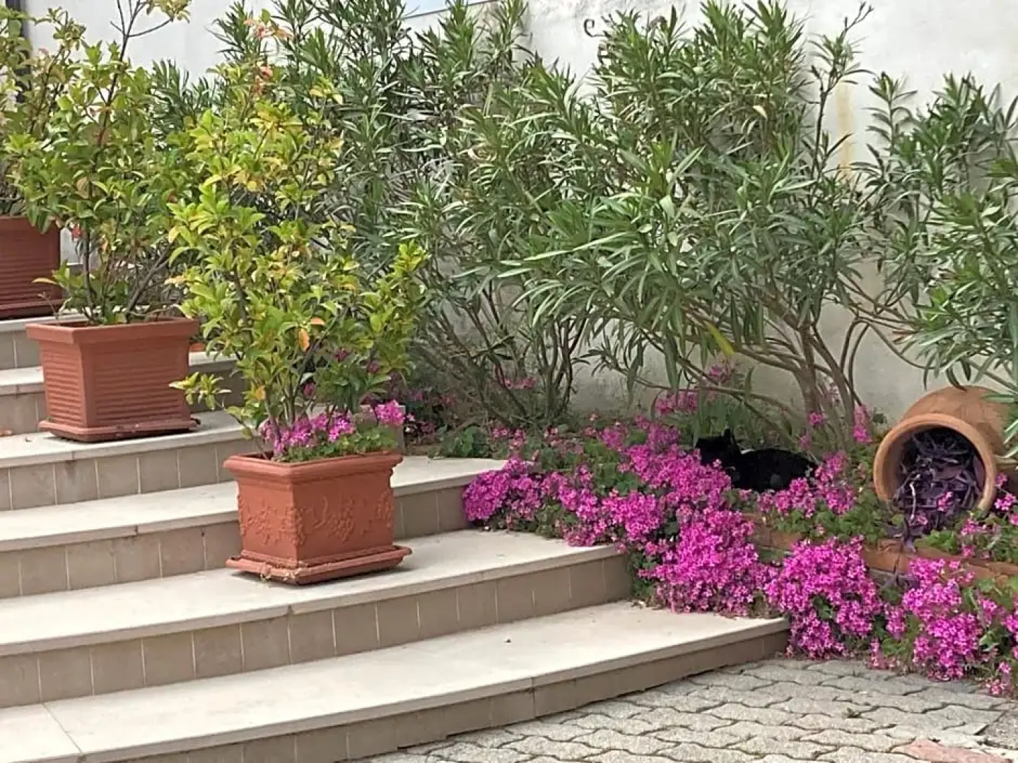 Pensione Albergo Bianco