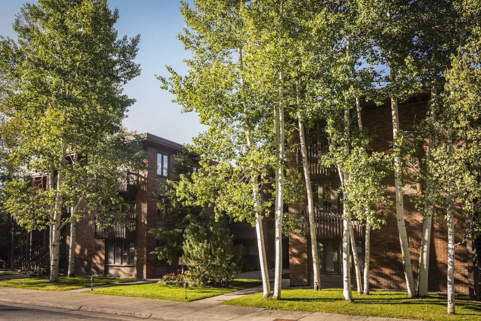 Cottonwoods by Frias Properties