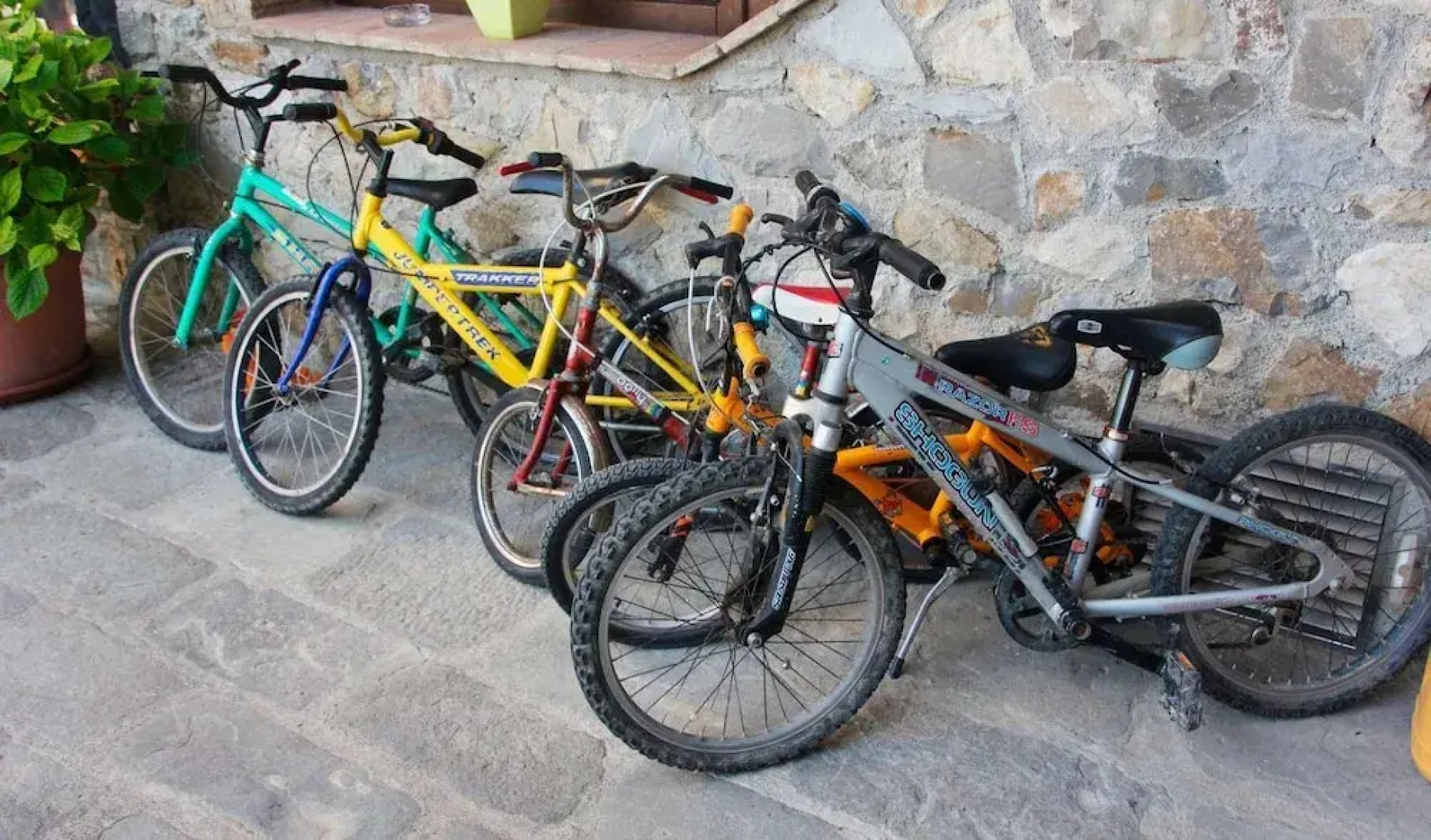 Fattoria Giunasco