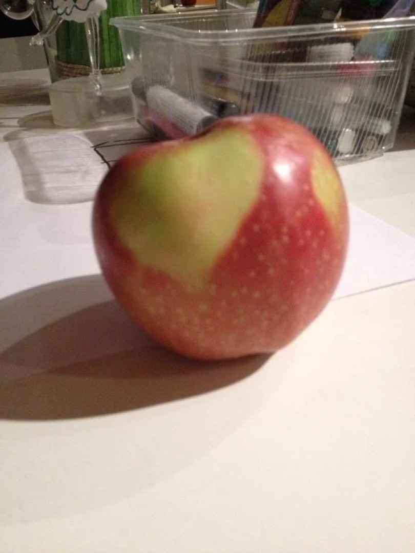 Gästeapartement Schlossblick