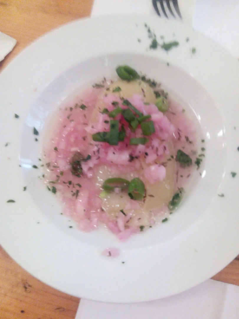 Nuevo Hotel Vista Alegre