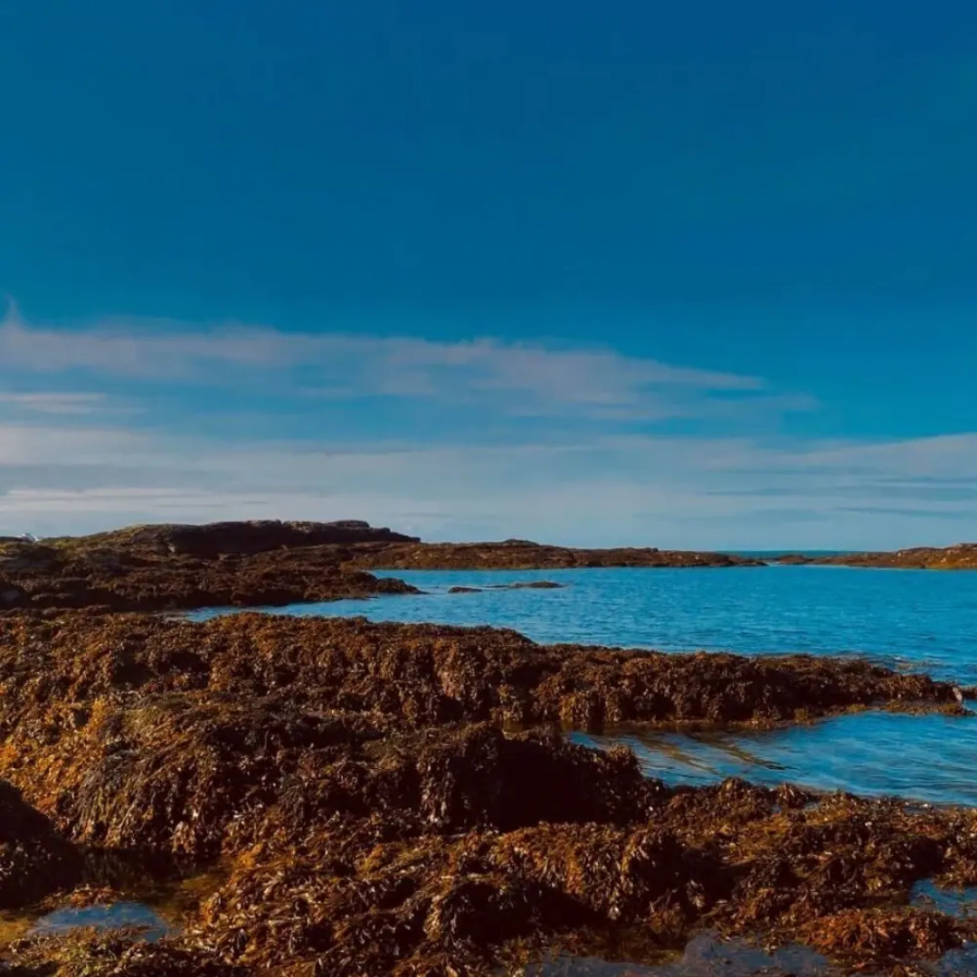 2 Bedroom Apartment + Sea View