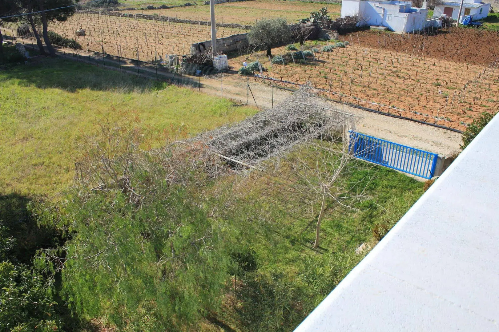 Villa Salentonthebeach