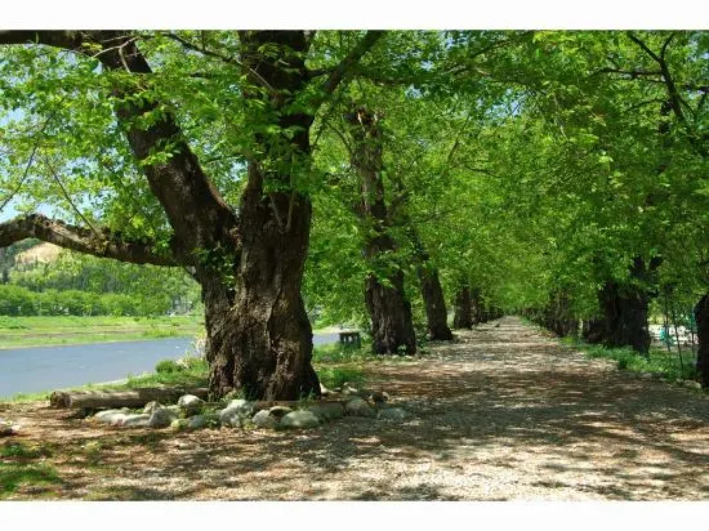 Machiya Hotel Kakunodate