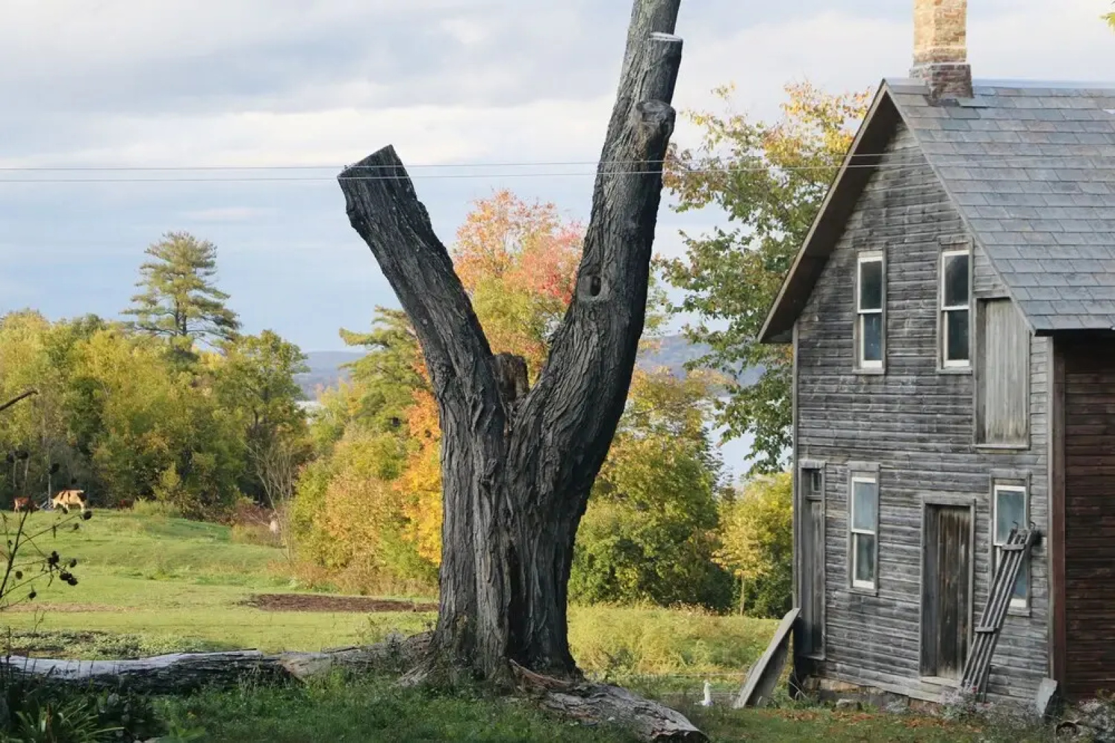 The Inn on Lake Champlain