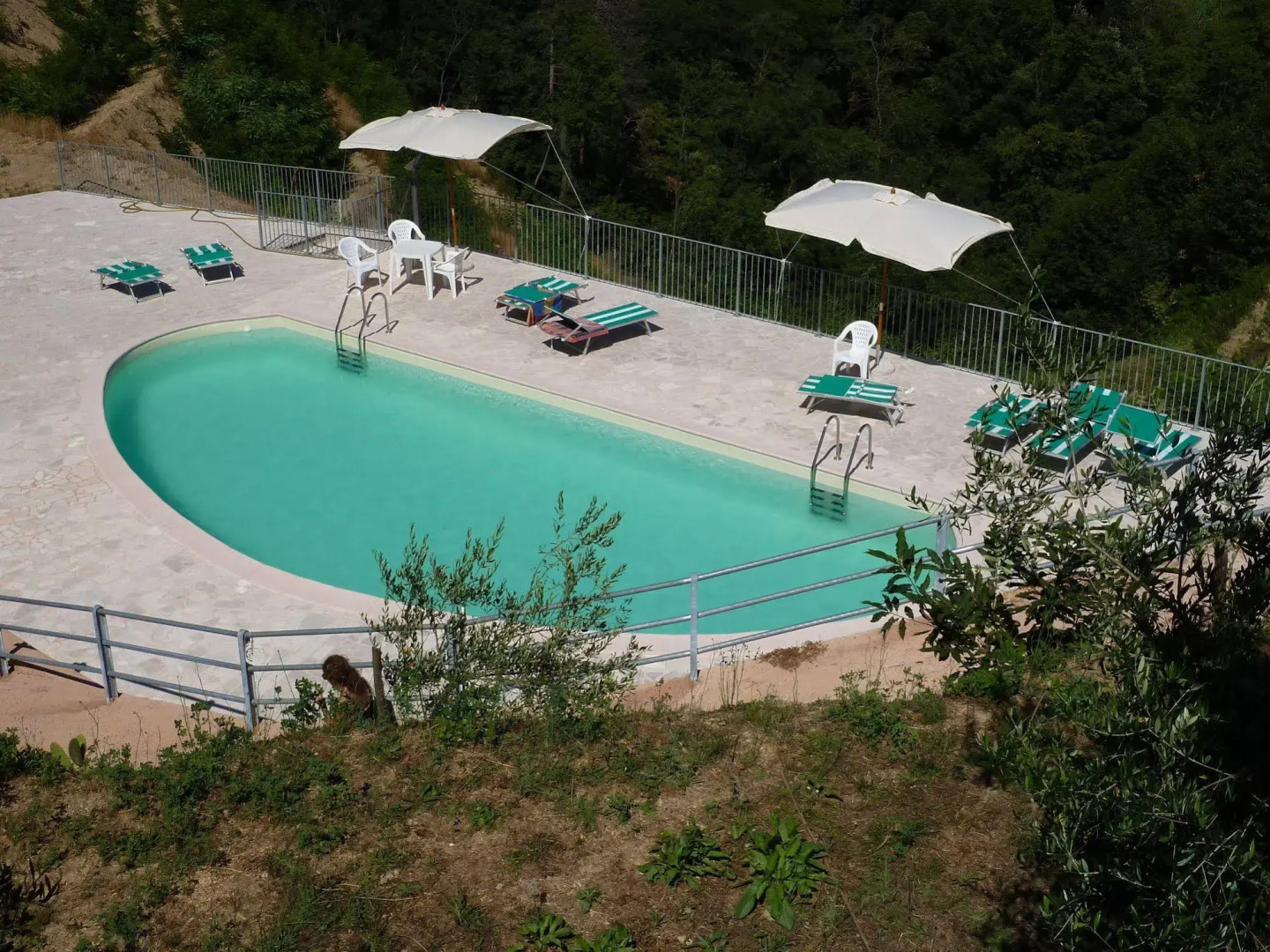 Gli Ulivi Di Montalbano