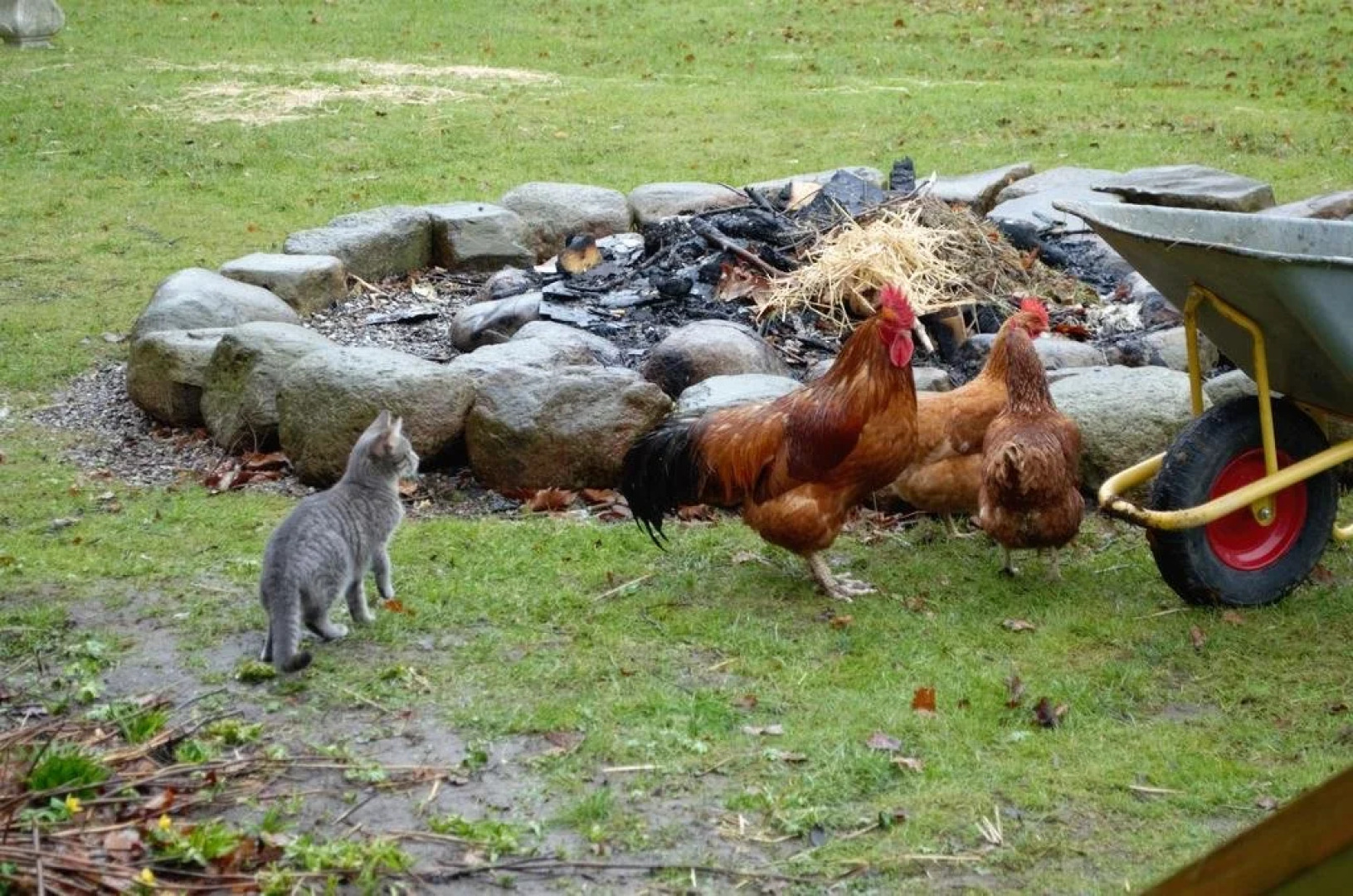 Ny Kirstineberg Gods Bed & Breakfast