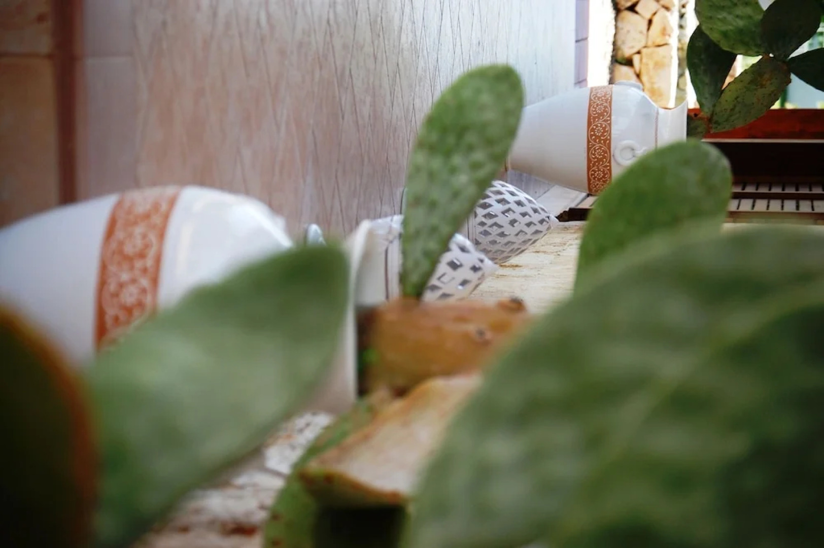 Masseria La Grande Quercia