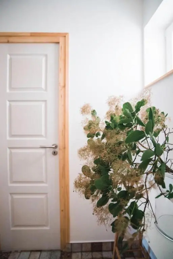 House of the Golden Horse in Hosszúréti Lovas Major