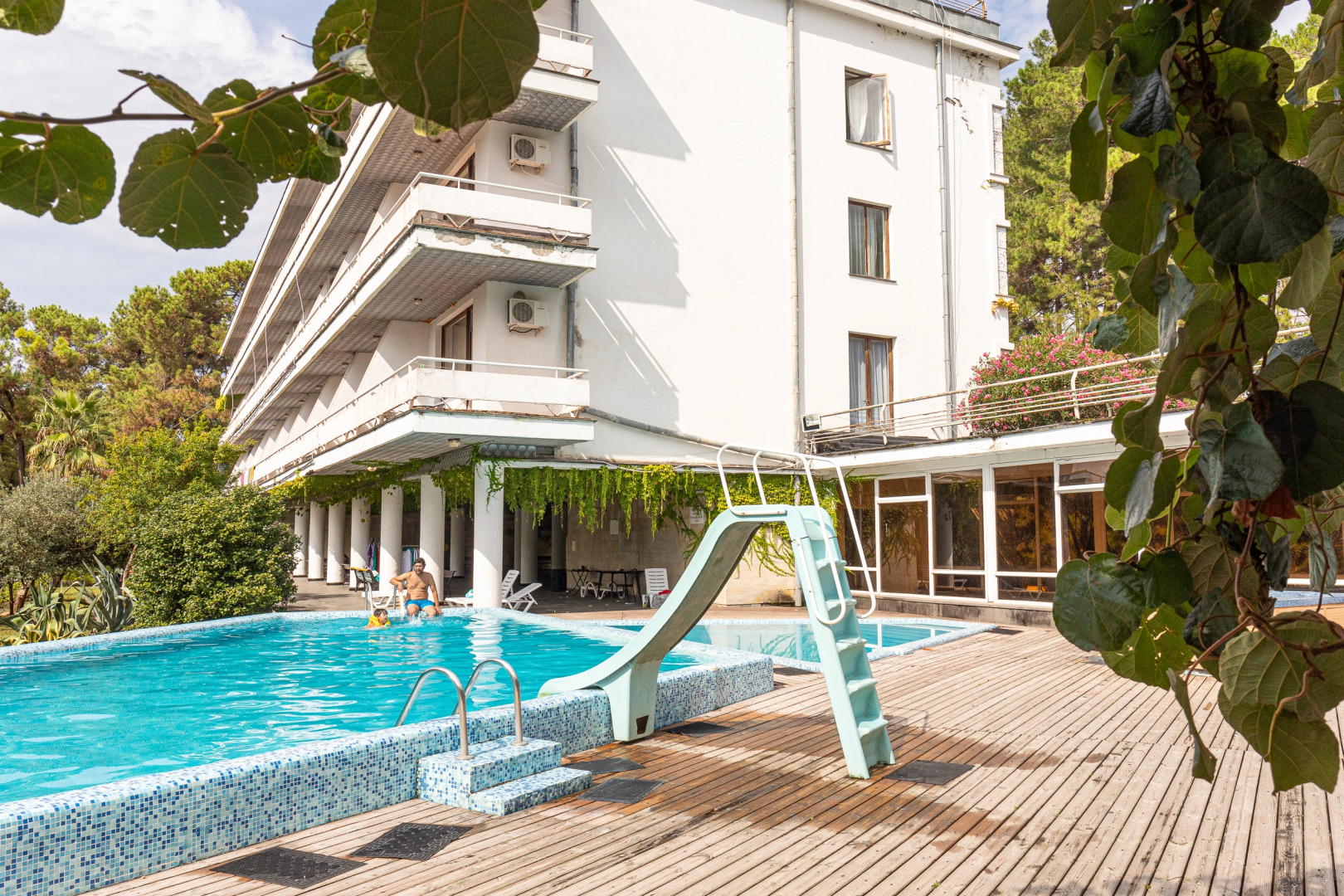 Сосновая роща (Пицунда)