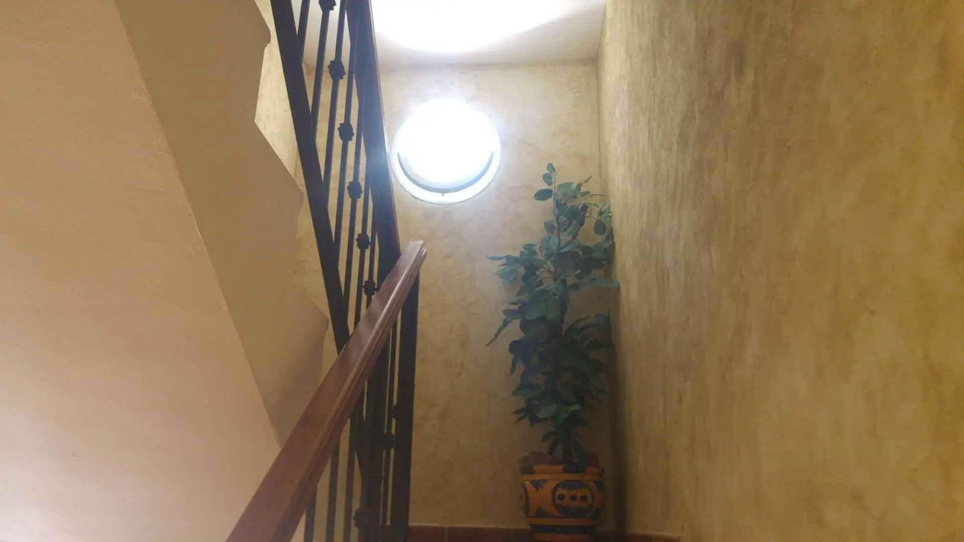 Alojamientos Monteverde