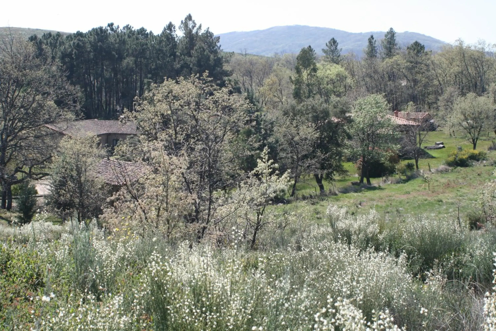 Casa Rural Los Robles