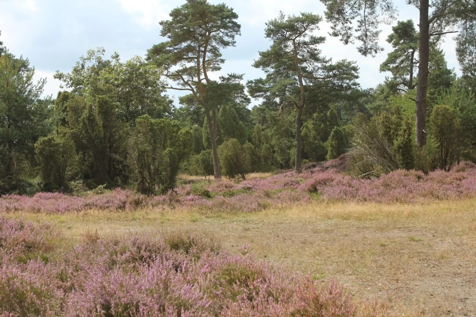 Vakantiehuis NamaStee