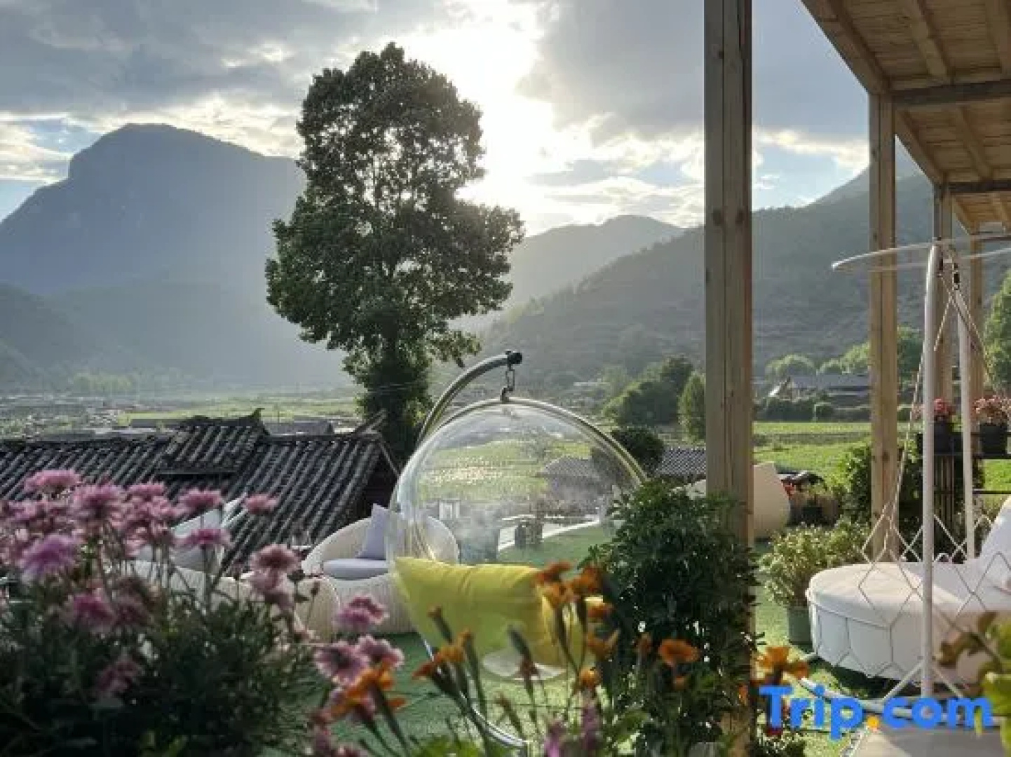 Lugu Lake Yunshang Flower Blossoms Half Mountain Lake View Resort