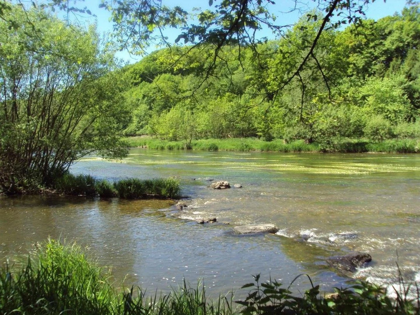 Le vieux moulin Bohan