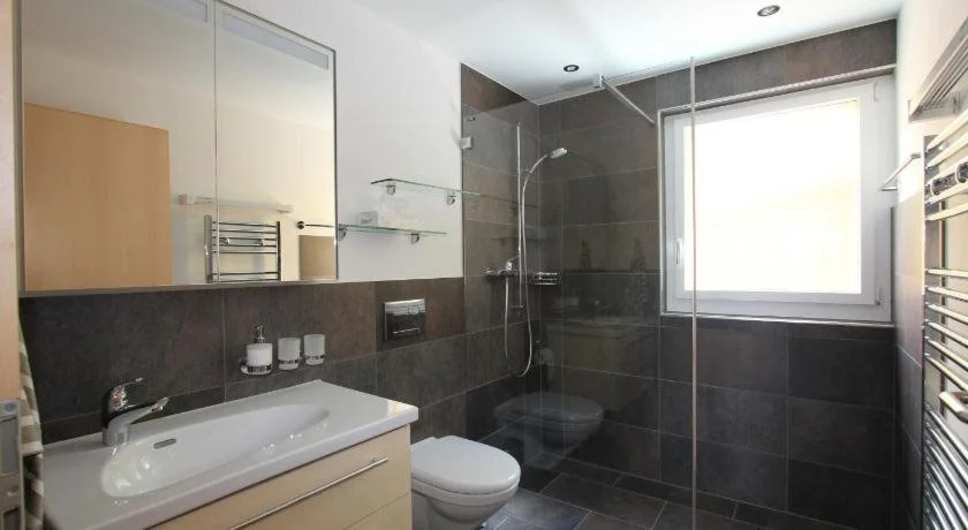 Swiss Lakeview Apartment