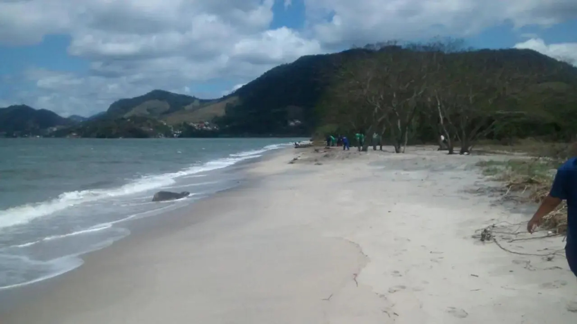 Condado Aldeia dos Reis 311