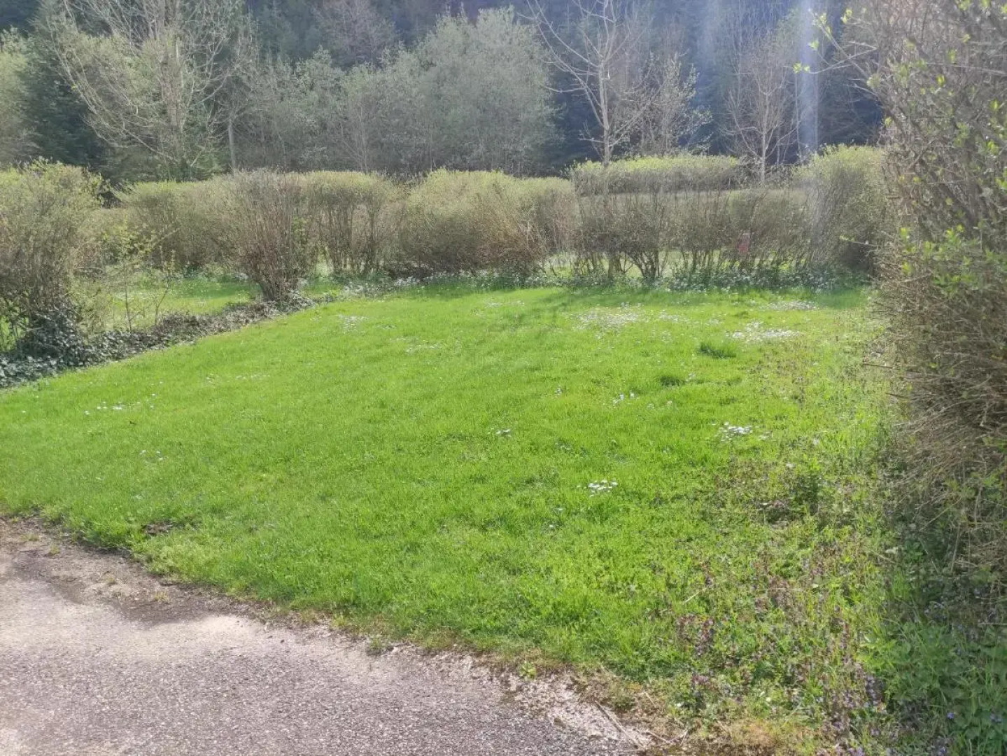 Adonis Le Signal De Nantua By Olydea