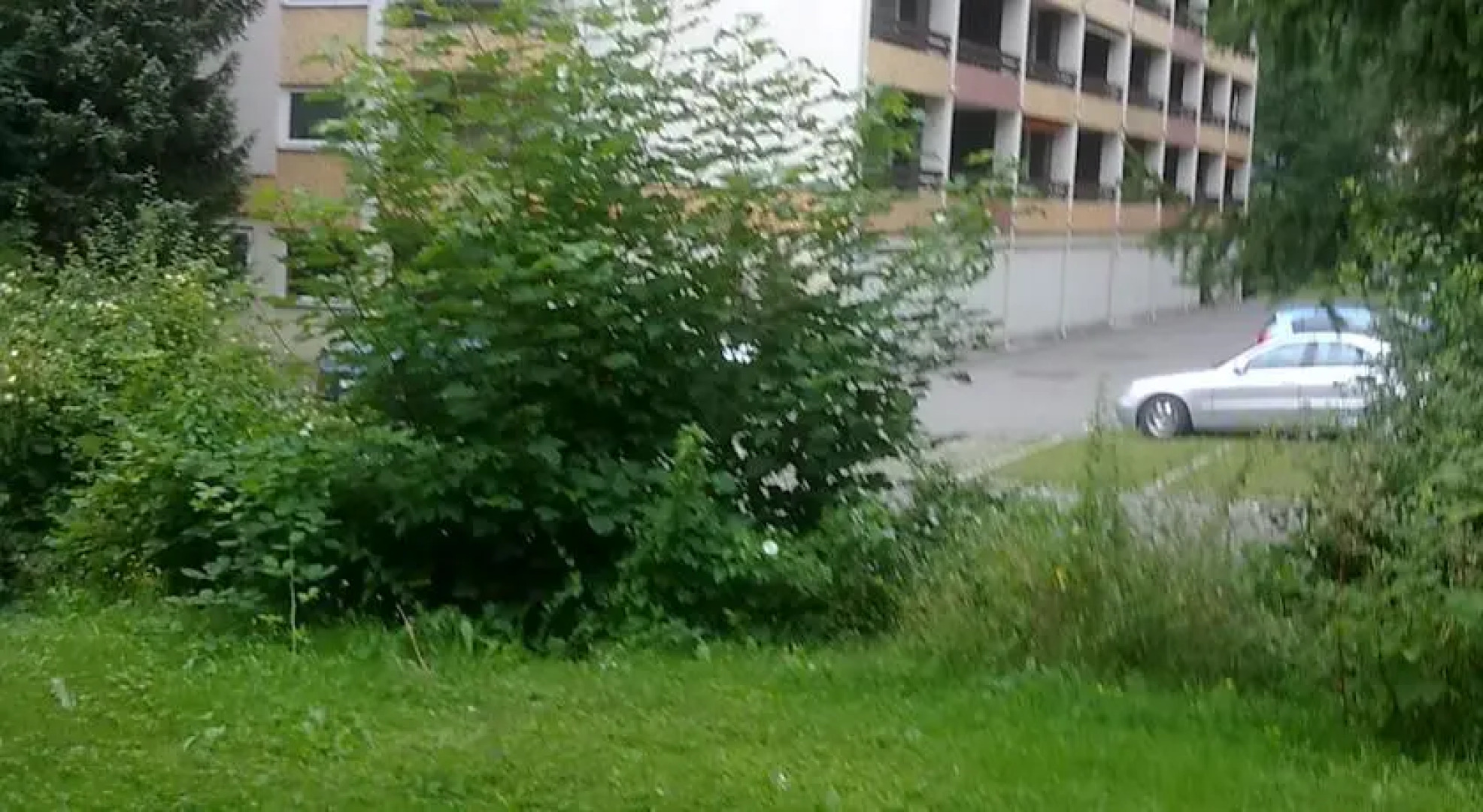 Appartment Mohnblume