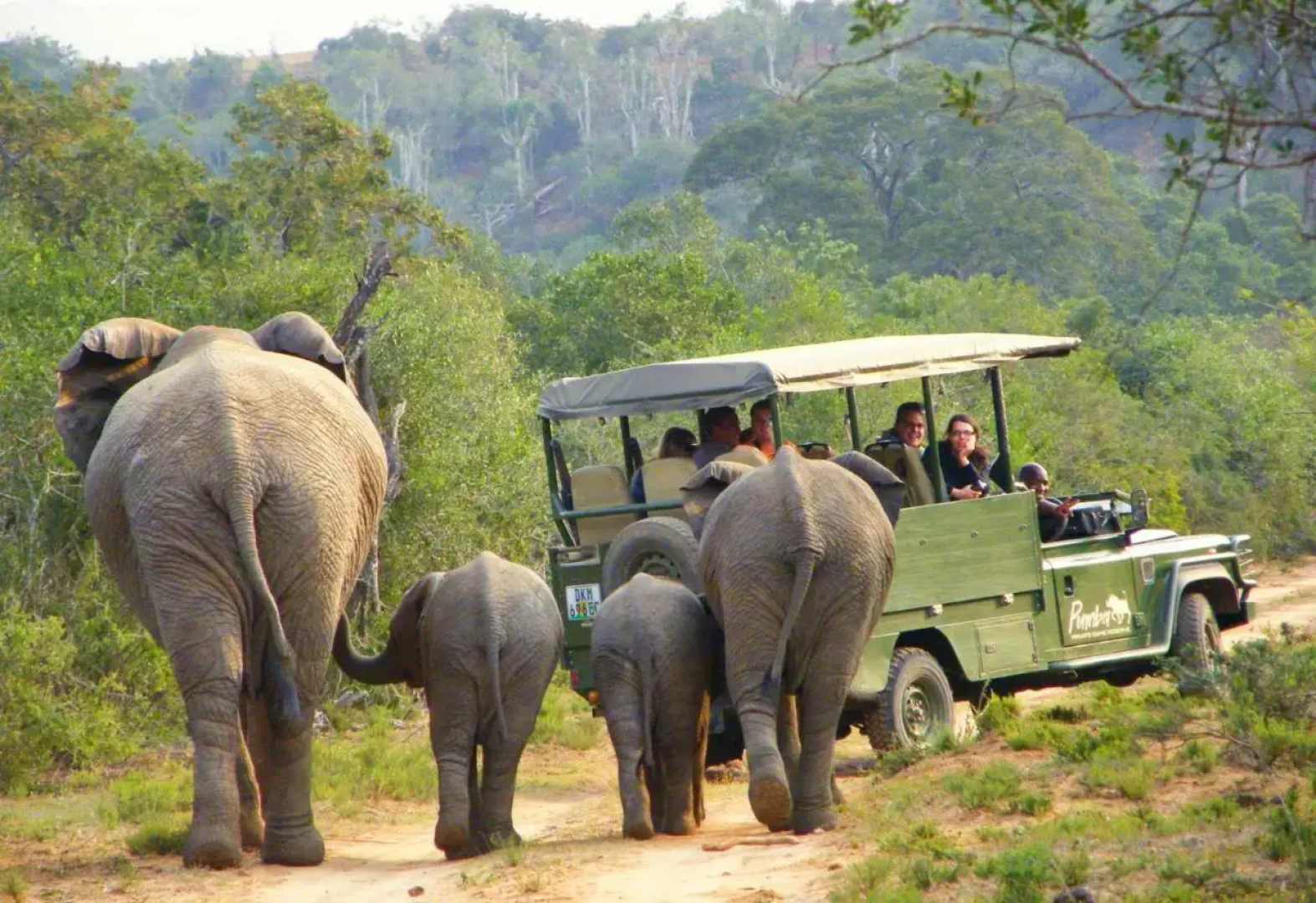 Pumba Private Game Reserve