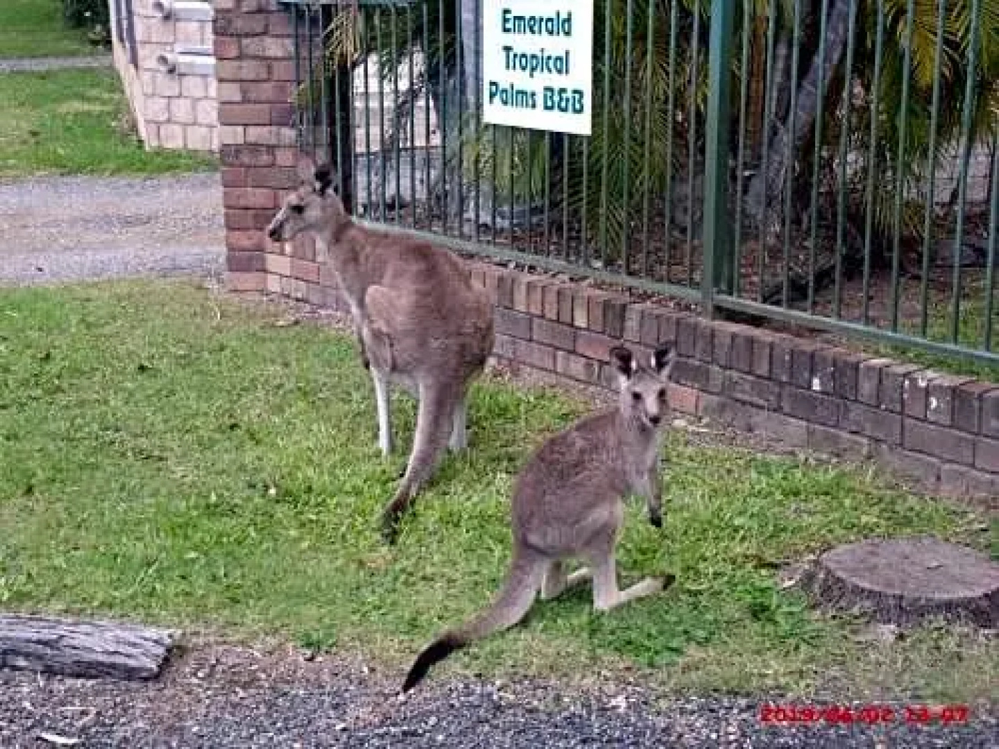 Emerald Tropical Palms B & B