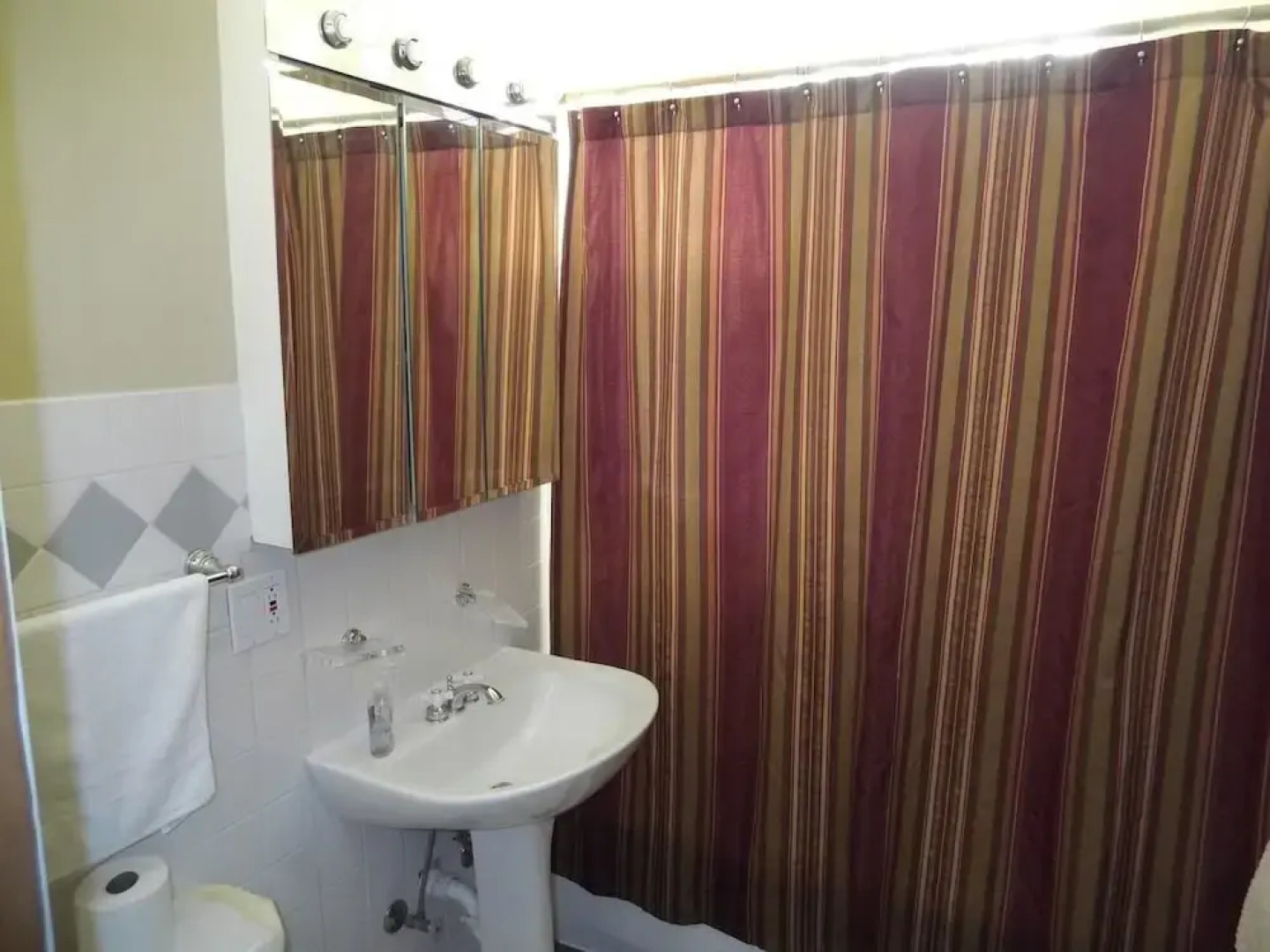 Bucktown, Urban Luxury and Convenience, Near L Train Stop at Western