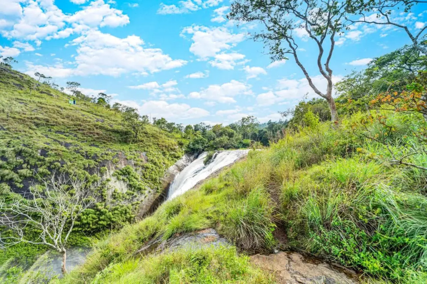 Zacs Valley Resort & Wellness Retreat Kodaikanal