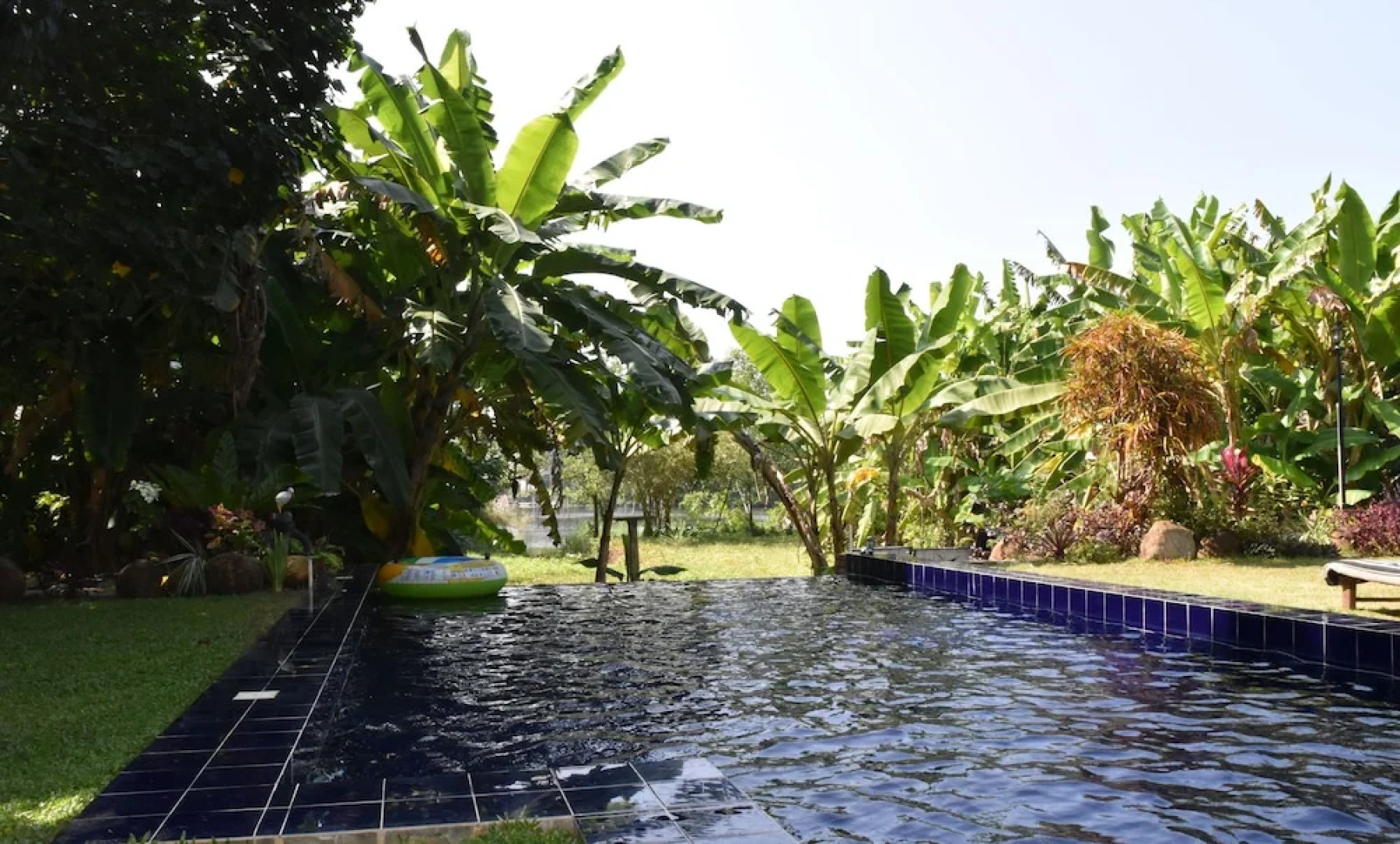 Madampe House by Tree