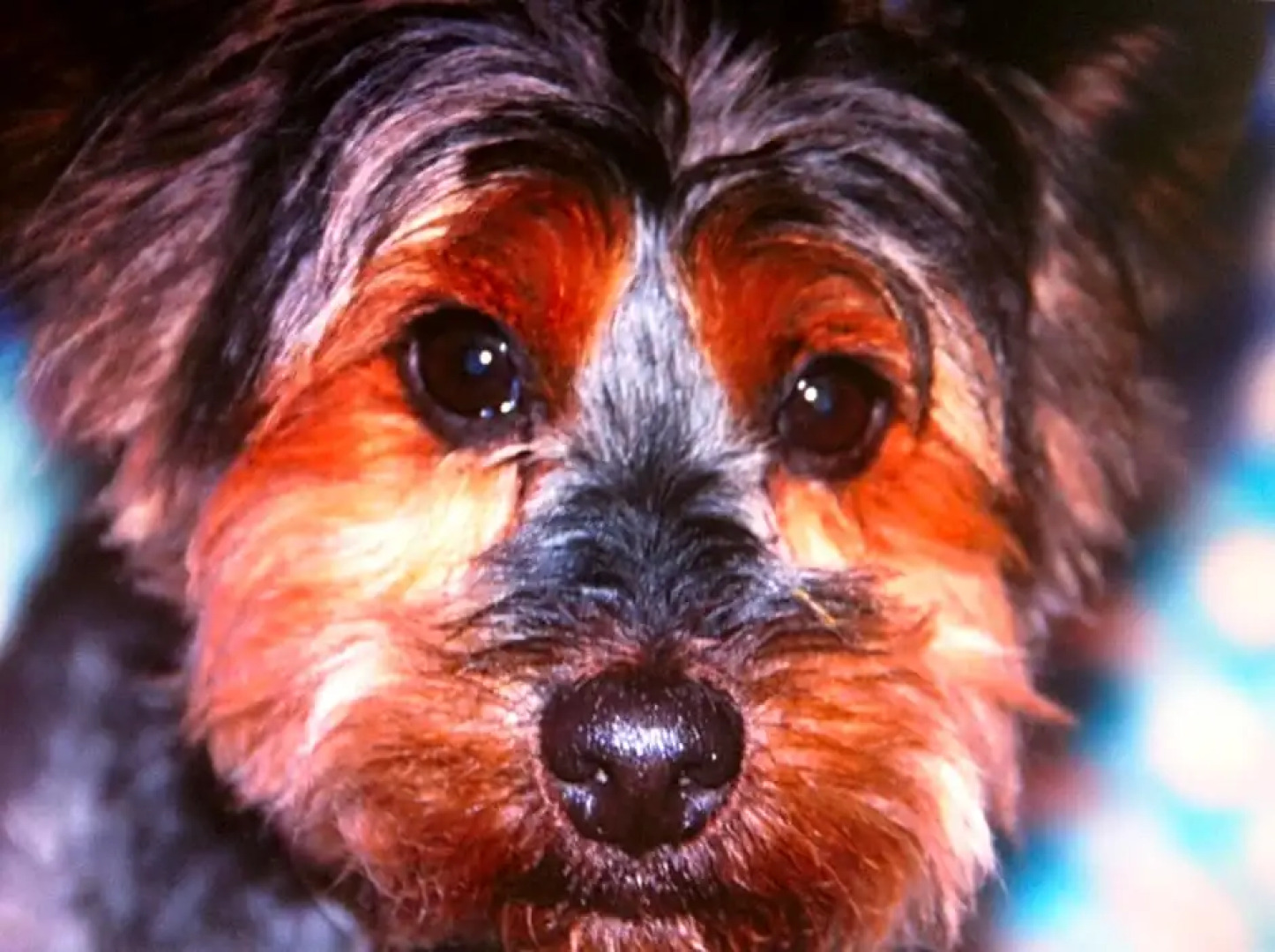 Chambres d'hôtes chez Martine