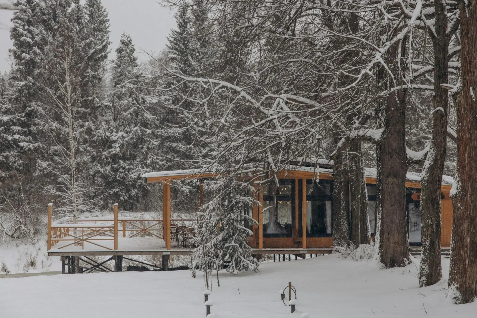 Кроличья нора