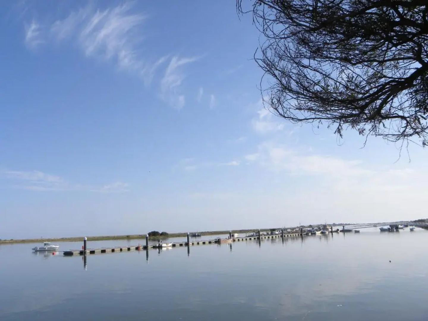 Cabanas Gold By Beach Rentals