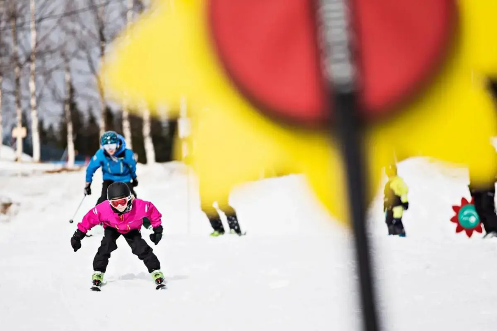 Edsåsdalen Fjällstation & Fjällby