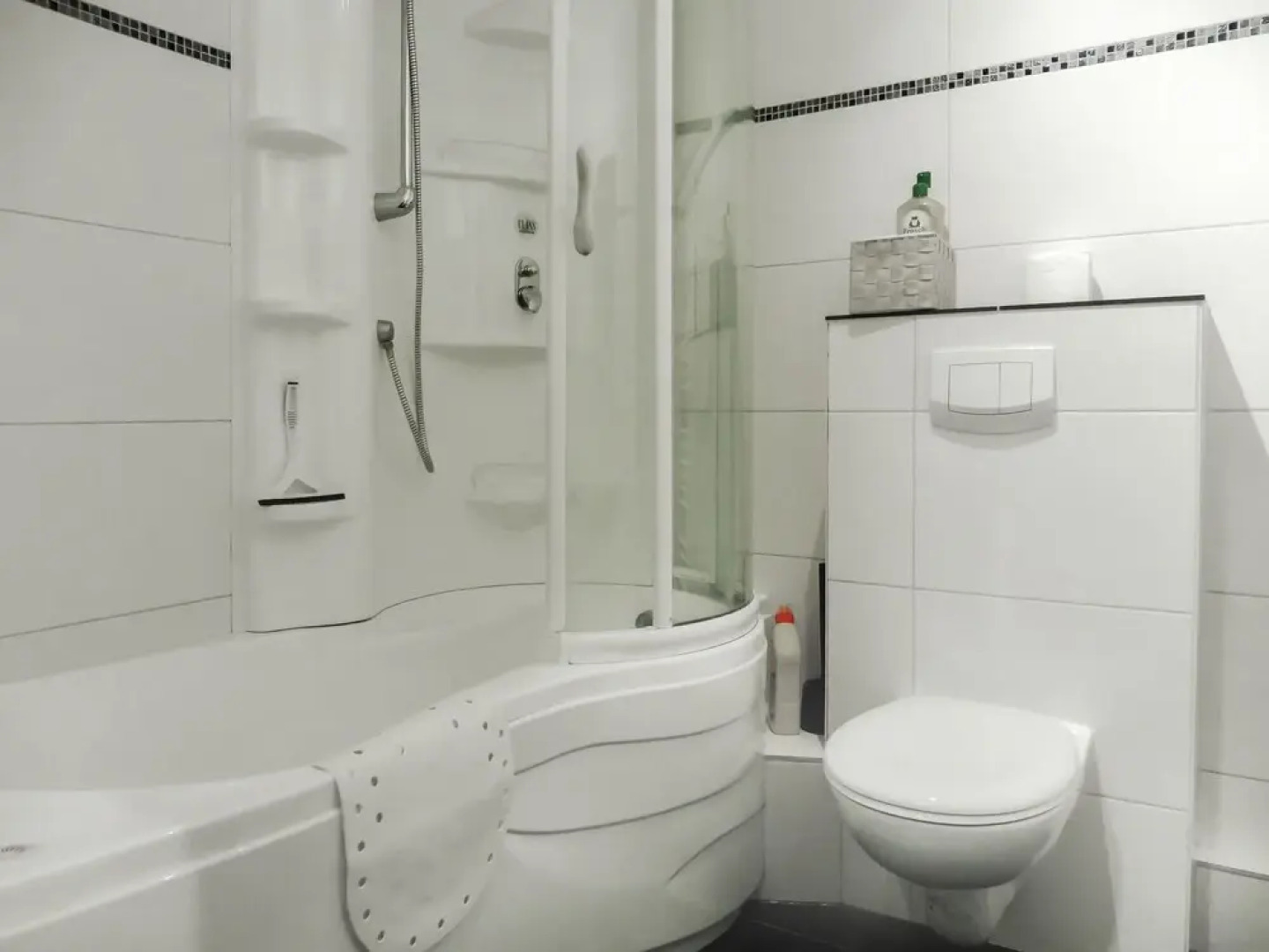 Austernfischer Warwerort